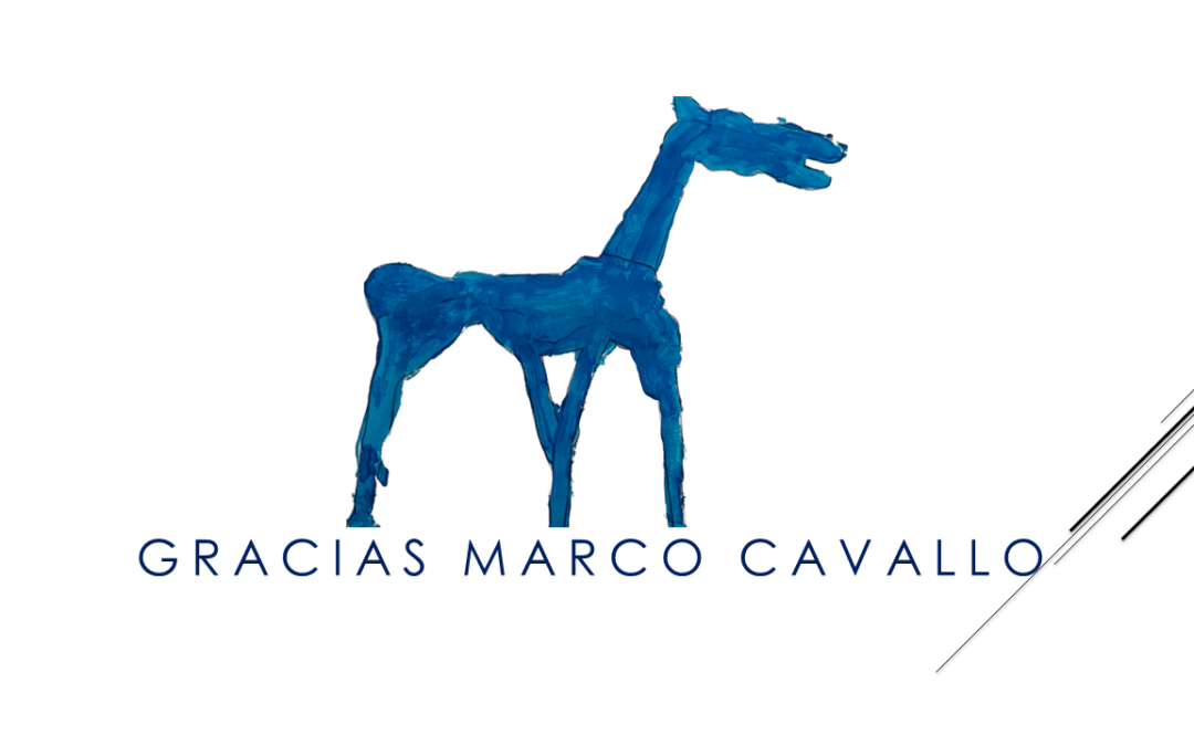 ¡Gracias Marco Cavallo!